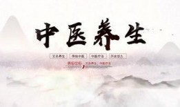 中医视频,传统养生智慧与现代健康生活