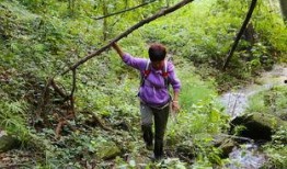 户外视频,捕捉自然之美